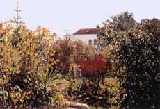 Blick quer durch Garten auf Haus Alo&eacute;