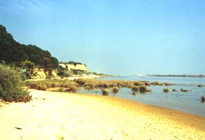 Unverbauter Klippen-Strand von der OÁSIS - VERDE in Cabanas de Tavira nur 500 Meter entfernt, hier entlang geht es bis nach Cacela Fábrica ca. 6 Km so weiter