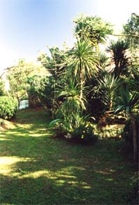 Blick von der Quintal-Terasse quer durch den Garten Richtung Osten