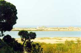 Ausblick auf die Lagune und der Strandinsel von Cabanas de Tavira, ca. 500 m östlich von der OÁSIS - VERDE