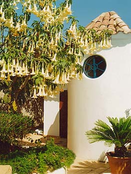 Das Badezimmer vom Ferienhaus Casa da Oliveira von aussen... umgeben von &uuml;ber 40 unterschiedlichen Pflanzenarten... die O&Aacute;SIS - VERDE verf&uuml;gt &uuml;ber mehr als 250 unterschiedliche Pflanzenarten...