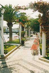 Der schönste Park Tavira´s erstreckt sich auf der Westseite des Rio Gilao von der alten Römerbrücke bis zur neurestaurierten "alten Markthalle"